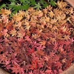 下関で