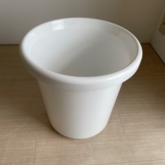 大きい植木鉢