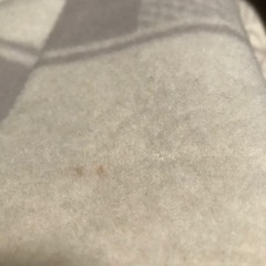 バレンティノ☆羊毛100%毛布の画像