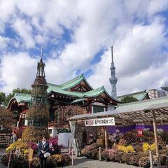【明日開催】【運気アップ🐉】第9回神社(御朱印)三社めぐり巡りツ...