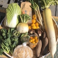 1月29日30日(土日)の野菜セットとコシヒカリ②