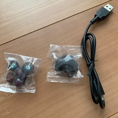 SONY  ワイヤレスイヤホンの画像