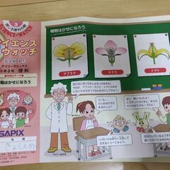 サピックス3年 2020年度 年間テキスト 4科目 SAPIX 小3