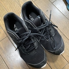 puma シューズ　25cm