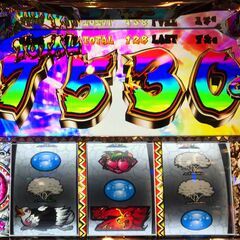 値下して出品 家スロ パチスロ獣王 -王者の覚醒-の画像