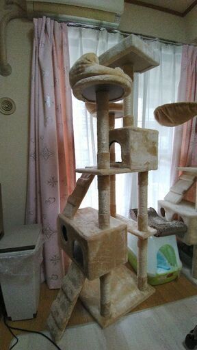 キャットタワー