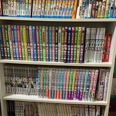 漫画、引越しにつき処分