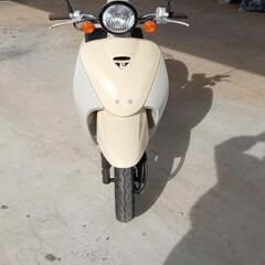 スクーター　ホンダトゥディ　インジェクション車の画像