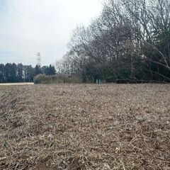 キャンプ、ドックラン、資材置場に最適です。茨城県境町の土地260...