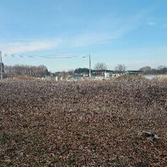 キャンプ、ドックラン、資材置場に最適です。茨城県境町の土地260坪売ります! - 土地販売/土地売買