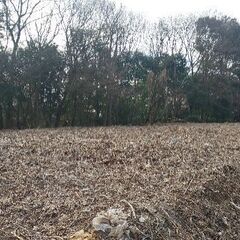 キャンプ、ドックラン、資材置場に最適です。茨城県境町の土地260坪売ります! − 茨城県
