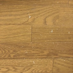 藤の椅子 ※この週末で売らなかったら処分しますの画像