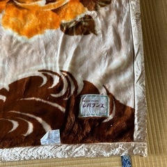 毛布　シングル　　決まりましたの画像