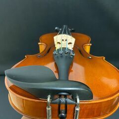 イーストマン 1/2バイオリンセット（ヴァイオリン、弓、ケース）VL80