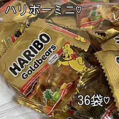 ハリボーグミ　HARIBO　10g×36袋セット