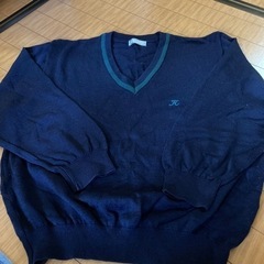 近高セーター3L美品の画像