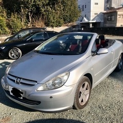 決まりました！ありがとうございました6