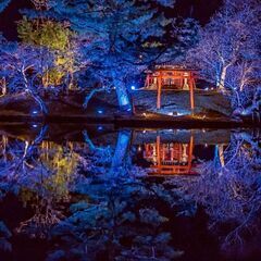 「なら瑠璃絵」に写真を撮りに📷️