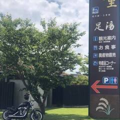ハーレーでランチツーリングしませんか。月に一度は走っています。