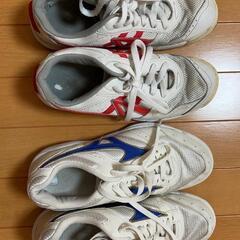 体育館シューズの画像