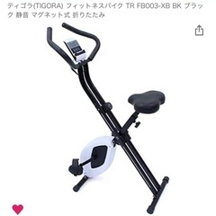 ティゴラ　フィットネスバイク TR FB003-XB&アルインコ...