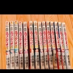 【全巻】エヴァンゲリオン全巻　14巻※ほぼ初版の画像