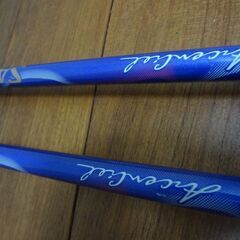 スキーポールの画像