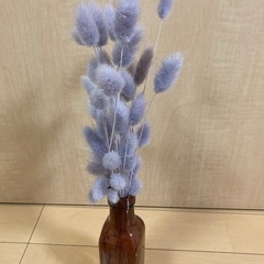 ドライフラワー