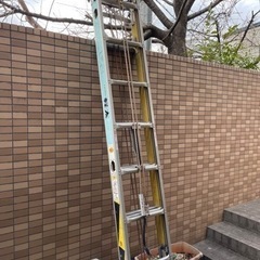 軽太　スライダー　3連梯子※最終価格