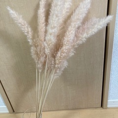 ドライフラワー4