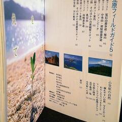 山と渓谷社　小笠原自然観察ガイド改訂版　　美品の画像