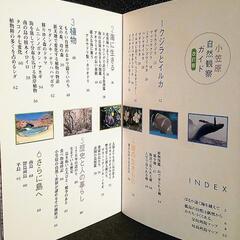 山と渓谷社　小笠原自然観察ガイド改訂版　　美品の画像