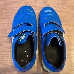 24センチ　青色スニーカーの画像