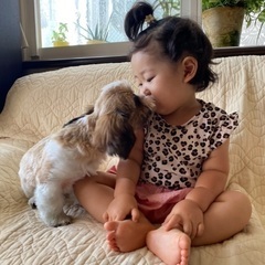 保護犬シェルターお手伝い（実働4時間）