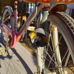 【お値下げ】ブリジストン自転車(子供用)の画像