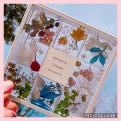 ボタニカルコラージュ（クリスタルアートリウム）♥♥♥
