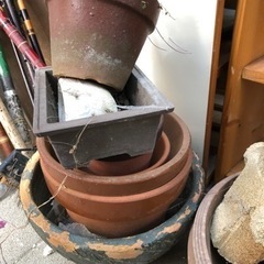 鉢植え　プラ・セトモノどちらもお好きなだけどうぞの画像