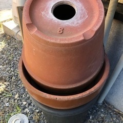鉢植え　プラ・セトモノどちらもお好きなだけどうぞの画像