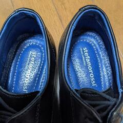 stefanorossiの画像