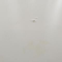 ikea デスク LINNMONの画像