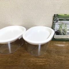 スプラウト栽培専用容器 おうちでベジ ディル種子付き