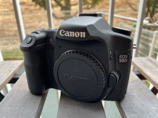 キヤノン　EOS 50D 本体のみ　訳あり