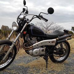 【取引完了】Grasstracker250スクランブラーカスタム