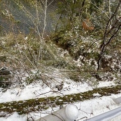 便利屋ライフサポート