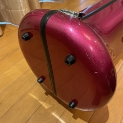 C.C.シャイニーケースの画像
