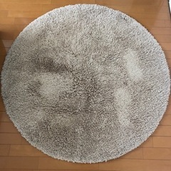 シャギーラグ
