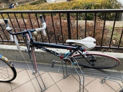 アラヤ　エクセラ