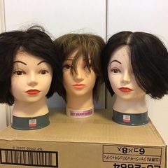 カットマネキン(使用済)