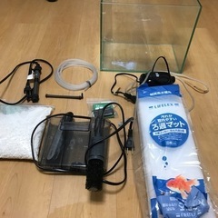 30㎝水槽一式