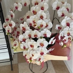 胡蝶蘭　造花